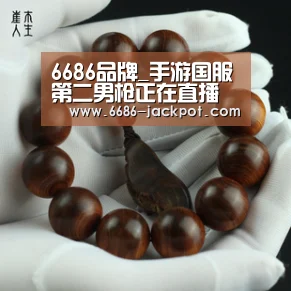 6686游戏