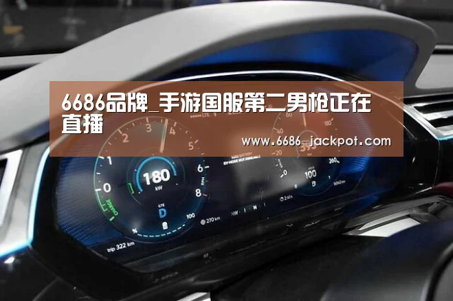 6686体验